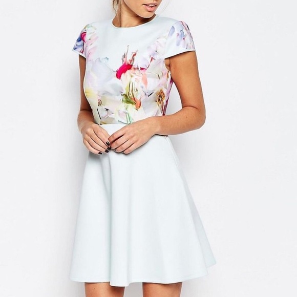Ted Baker Dresses & Skirts - Ted Baker London Rivana Hanging Gardens Skater Dress TED 4